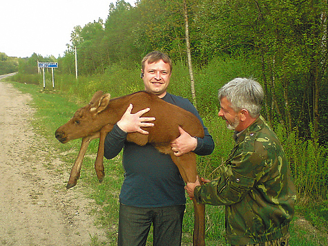 Изображение Лосята