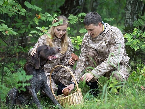 Изображение Сбор грибов не за горами