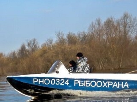 Изображение Отчет Волго-Каспийской рыбоохраны
