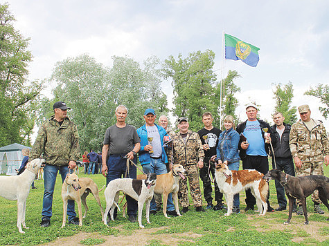 Изображение Саратовская выставка охотничьих собак