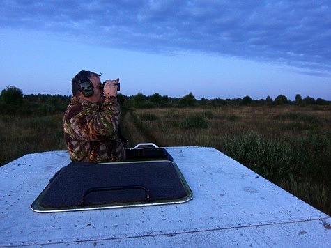 Изображение Воронежская область открывает охоту на сурка-байбака