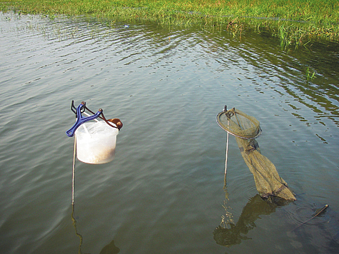 Изображение Жара и рыбалка