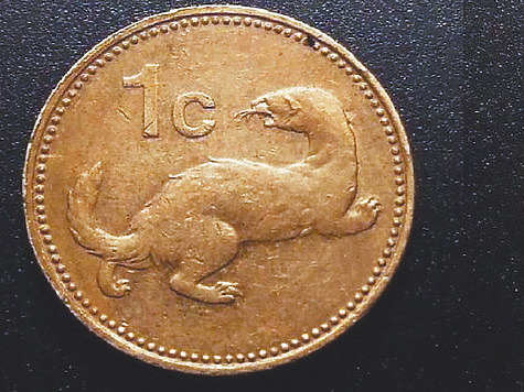 Изображение Речная выдра на монетах стран мира