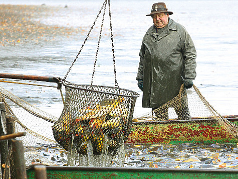 Изображение Более 400 кг лососевых пытались вывезти камчатские браконьеры 