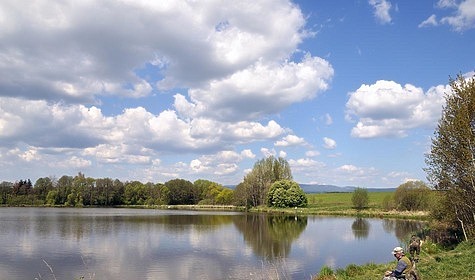 Изображение Поздняя встреча с вальдшнепом в степи