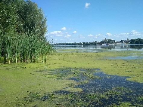 Изображение В Красноярском крае взялись за браконьеров