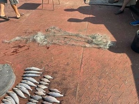 Изображение Средневолжская рыбоохрана продолжает изымать сети