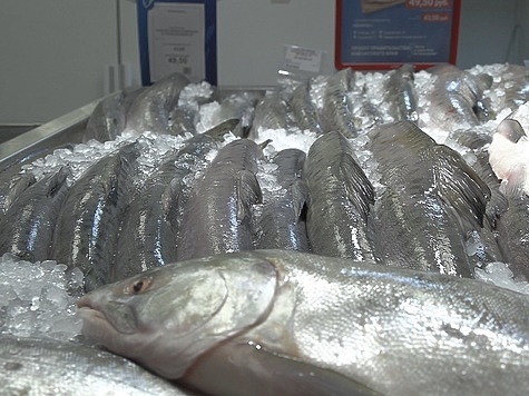 Изображение Торговля рыбой без документов уголовно наказуема