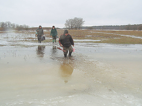 Изображение В Красноярске лед стал опасным