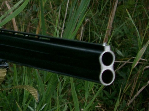 Изображение Стендовые ружья на охоте