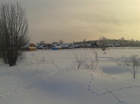 Изображение По чем выходит глупость?