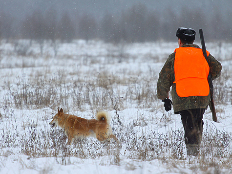 Изображение В пяти районах Орловщины запретили охоту на кабана