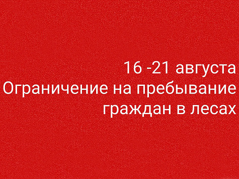 Изображение На востоке Подмосковья вводится ограничение на пребывание граждан в лесах