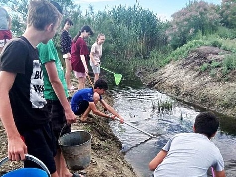 Изображение Как идет спасение рыбы в Астраханской области