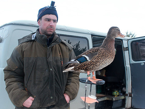 Прошли испытания подсадных уток в Нижегородской области