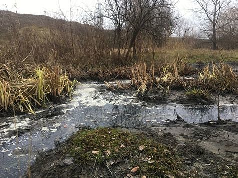 Изображение Спиртзавод оштрафовали за моющие средства