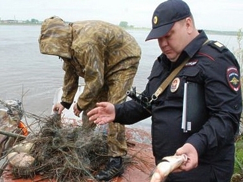 Изображение Сводка Волго-Каспийской рыбоохраны за неделю