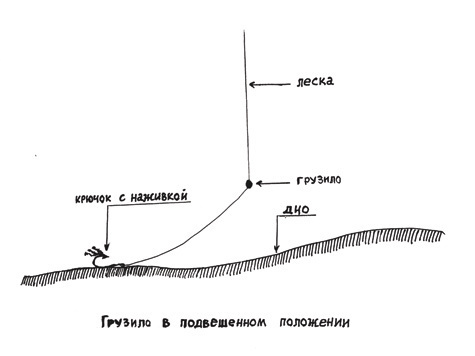 Изображение С кивком, но… без  мормышки