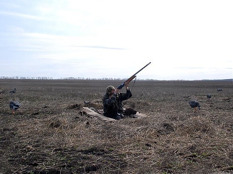 Изображение Охота на гуся в приграничных районах