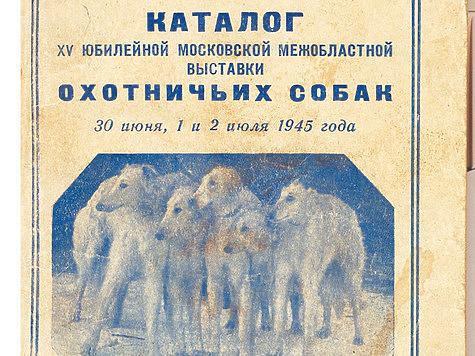 Изображение Были высокие денежные призы для охотничьих собак в 1945 году