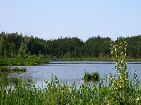 Изображение Минэкологии создает в Клину заказник