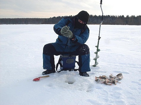 Изображение В трескучий мороз на рыбалку
