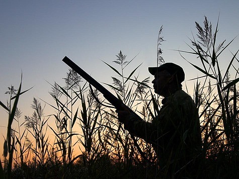 Изображение В Калужской области запретили охоту на пернатую дичь в 9 районах
