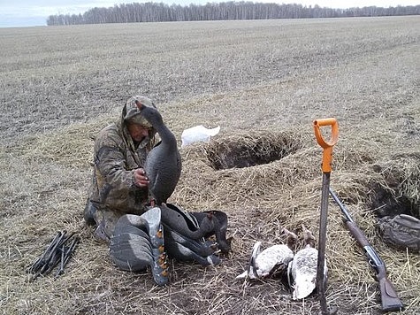 Изображение Открытие охоты в Пензенской области обернулось десятками нарушений