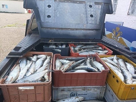 Изображение В Бурятии полицейские изъяли четыре тонны браконьерской рыбы