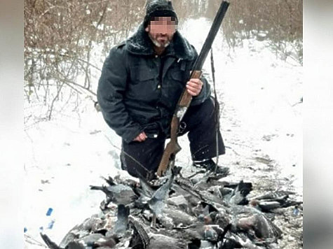 Изображение Браконьер добыл более 200 голубей