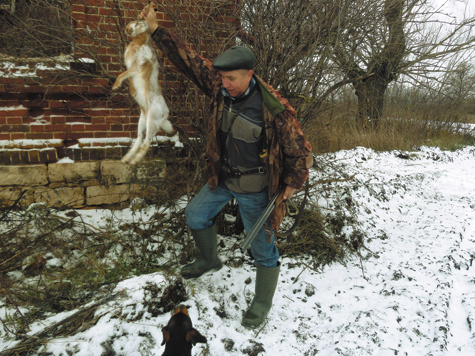 Изображение Луга далекие и близкие