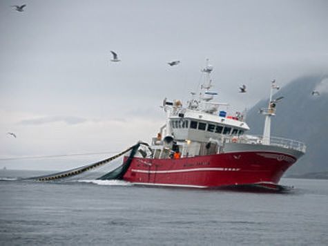 Изображение Ученые ВНИРО сопровождают лососевую путину