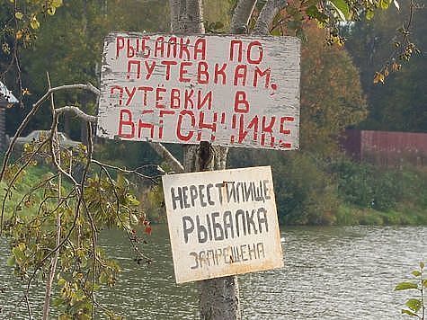 Изображение В Ярославской области начался нерестовый запрет