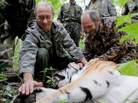 Изображение Годовщину президентства Путин отпраздновал с амурскими тиграми