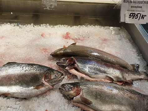 Изображение В росте цены на рыбу обвиняют Росрыболовство