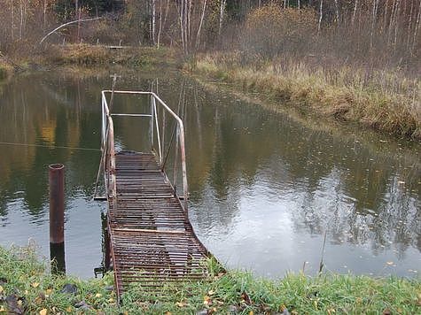 Изображение Саратовские аквафермеры вышли в лидеры