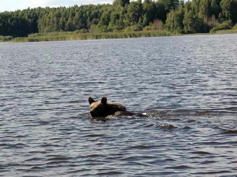 Глубокое озеро окончание