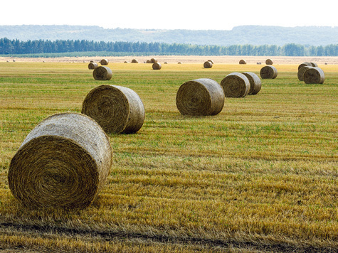 Кому принадлежат наши природные богатства?