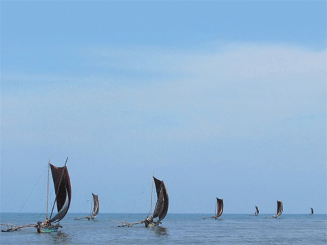 Изображение На острове Буяне в Индийском океане…