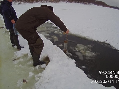 Изображение Конкретный виновник в заморе рыбы реки Вологда не назван