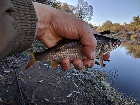 Изображение Пока не затвердела вода