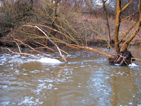 Изображение Рыбалка  в мутной воде