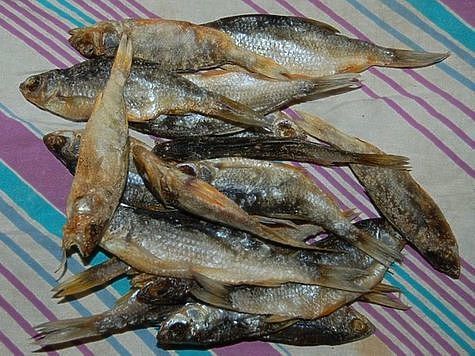 Изображение Астраханские рыболовы не любят рыболовов из других областей