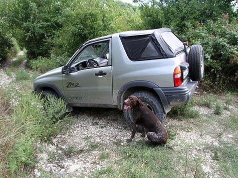 Изображение Крым - охотхозяйства без угодий?