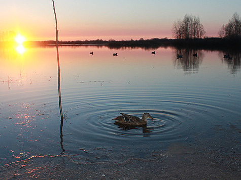 Изображение Запрет на рыбалку сняли в Астраханской области