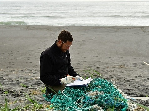 Изображение Основу морского мусора составляют обрывки сетей