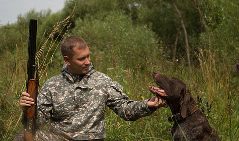 Изображение Охотникам с ловчими птицами и подружейными собаками стали выдавать разрешения на охоту