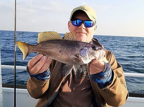 Изображение В Крыму вступают в силу запреты на ловлю некоторых рыб
