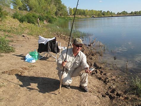 Изображение Вести с водоемов Волгоградской области