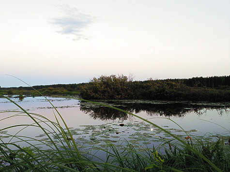 Отобрать и поделить, или несколько слов в защиту охотобщества
